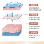 寡肽密集修护精华